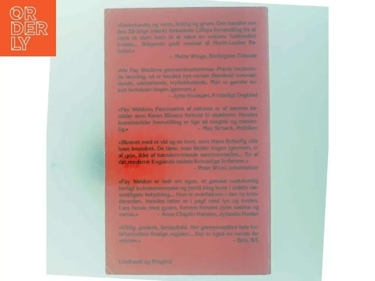 Billede 3 - Støvbold af Fay Weldon (Bog)