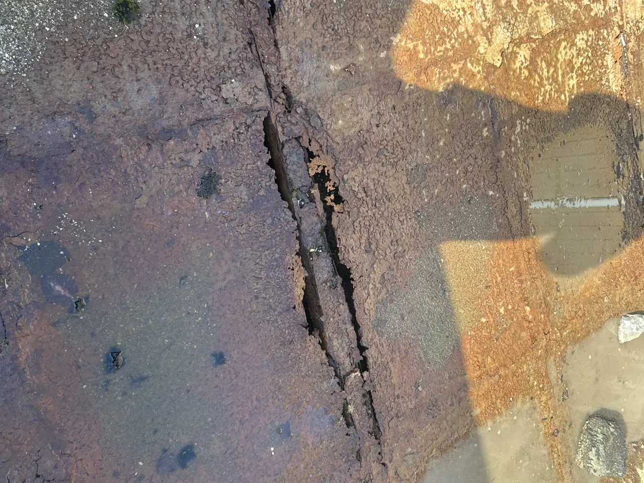 Billede 5 - 14m3 container 