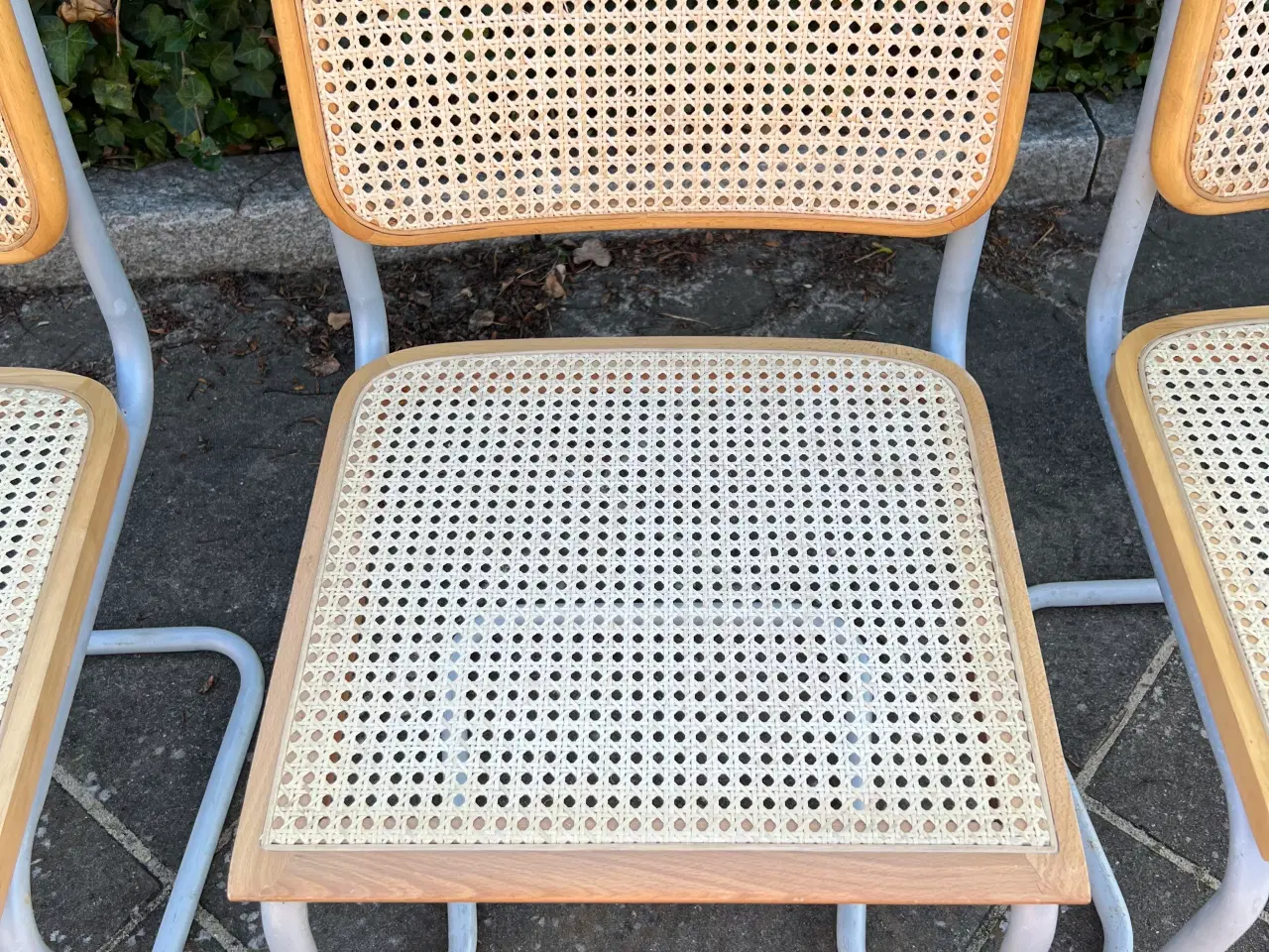 Billede 4 - Frisvinger med stable stel 