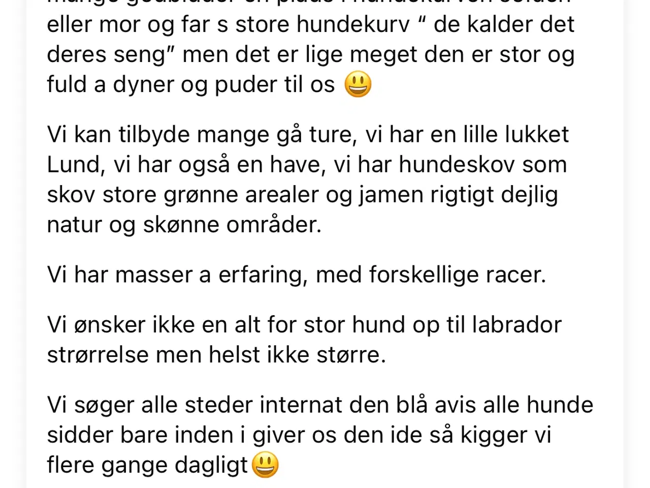 Billede 4 - Hund søges.