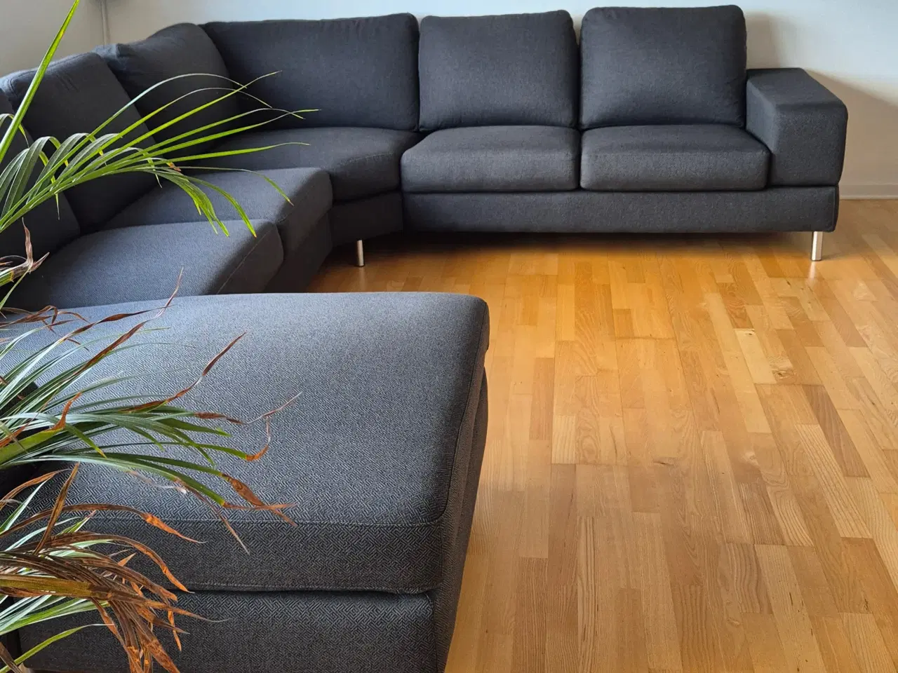 Billede 5 - Hjort Knudsen sofa