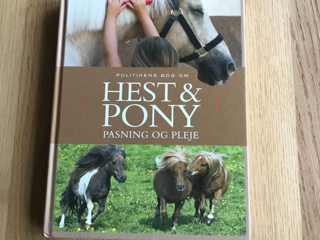 Billede 1 - Politikens bog om Hest & Pony - pasning og pleje