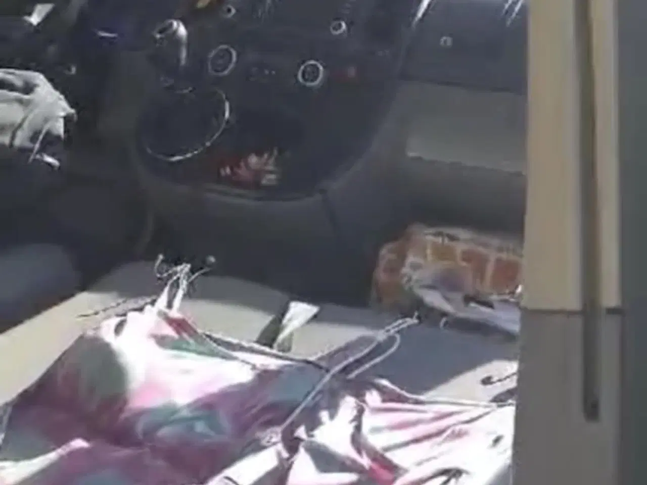 Billede 4 - California