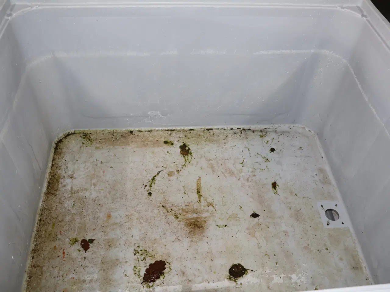 Billede 4 - 2 Stk Pallekasse/kar med afløbshul