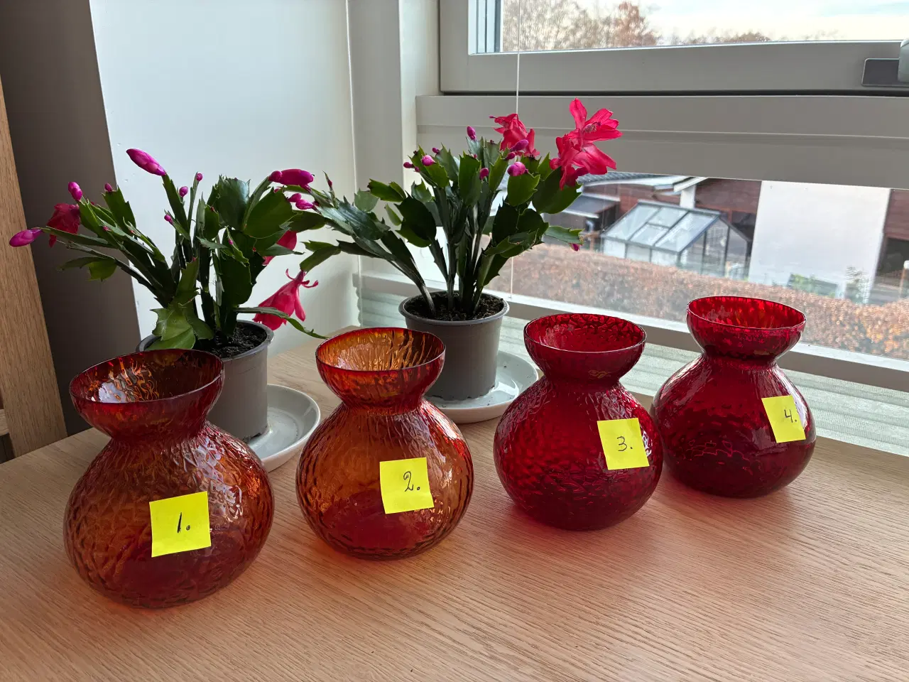 Billede 1 - Hyacintglas fra Holmegaard - RØDE