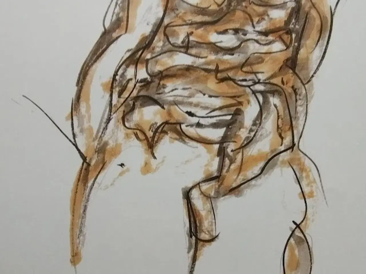 Billede 3 - Originale Farve Litografier