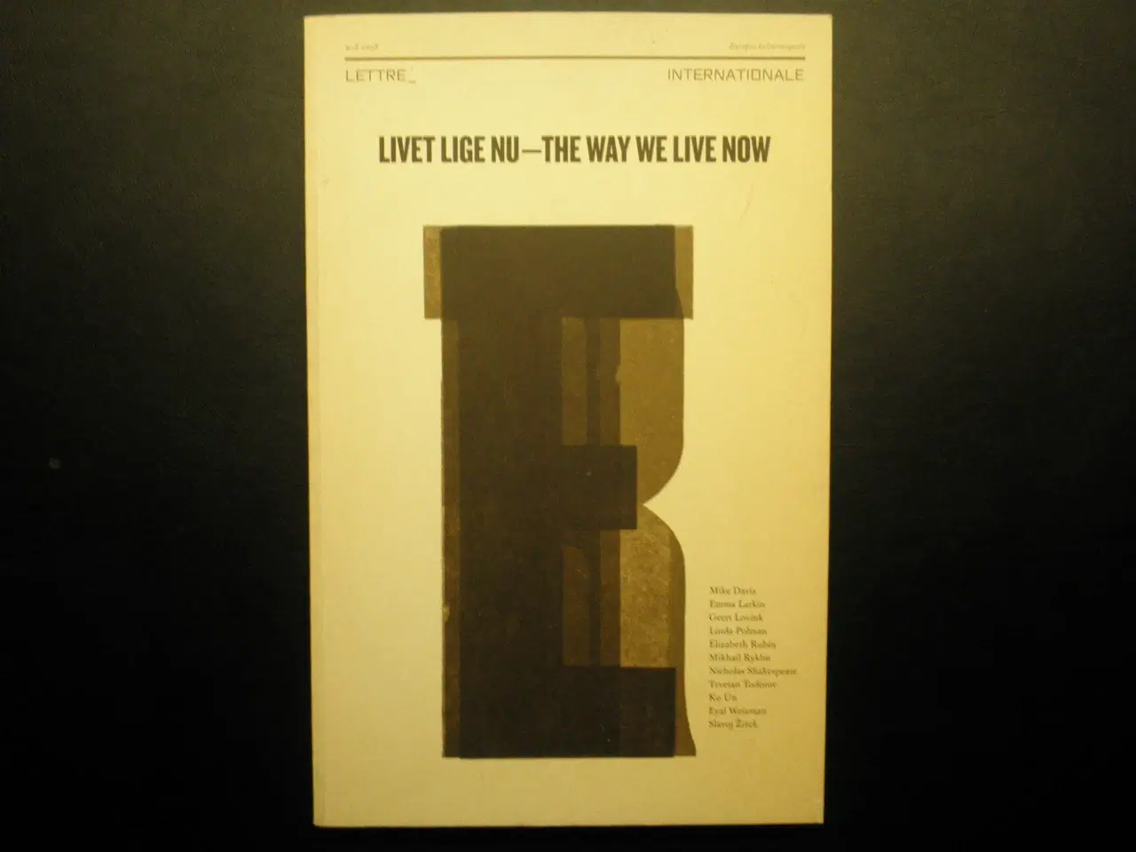 Billede 1 - Livet lige nu - The way we live now