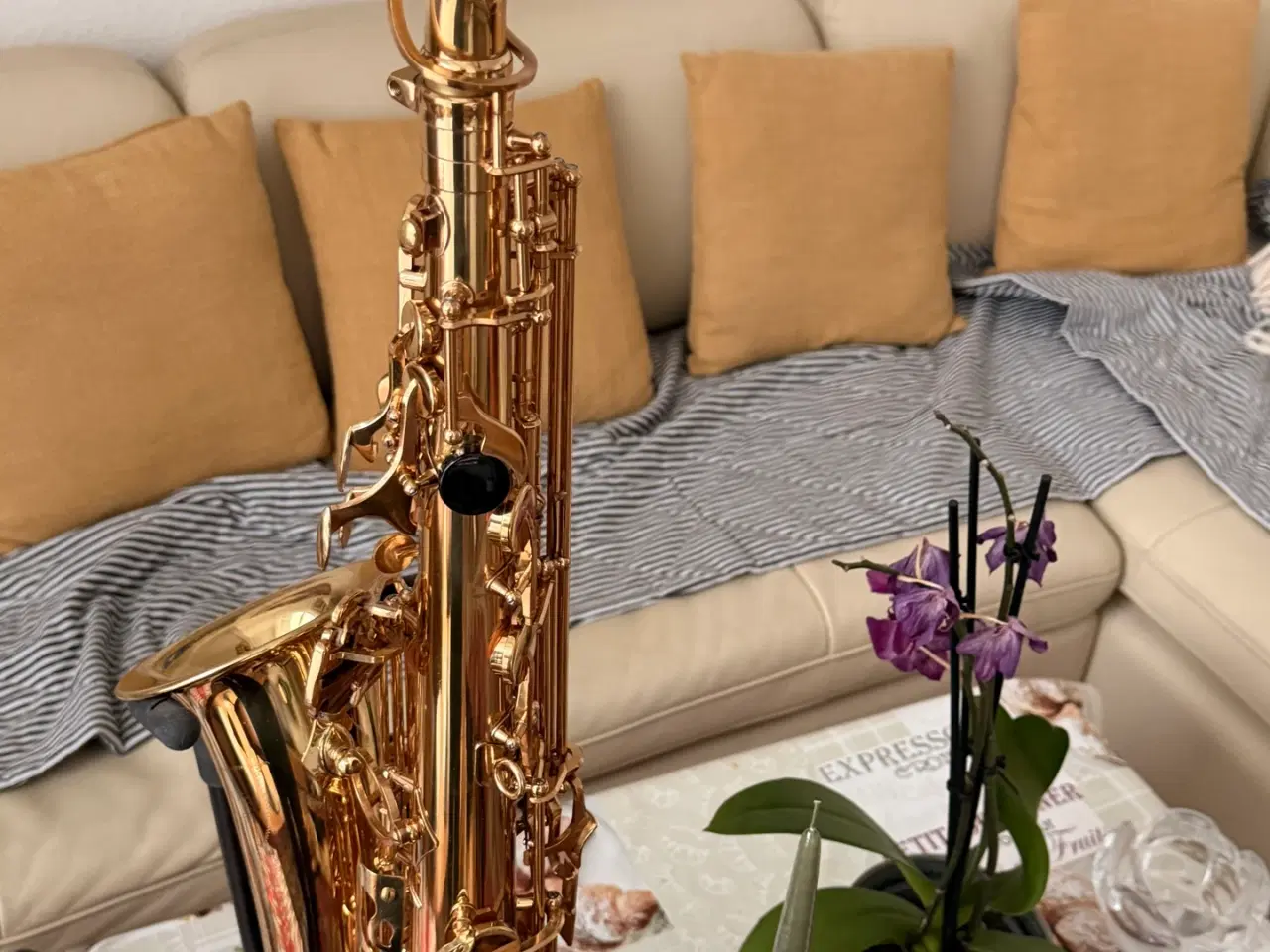 Billede 11 - Passionne PARIS - Alt saxofon, brugt få gange