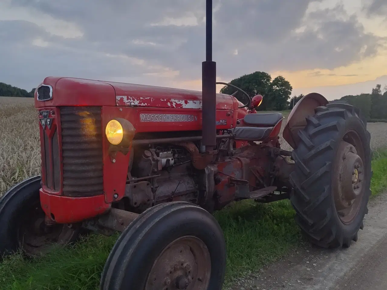 Billede 1 - Massey Ferguson 65 i utrolig fin original stand