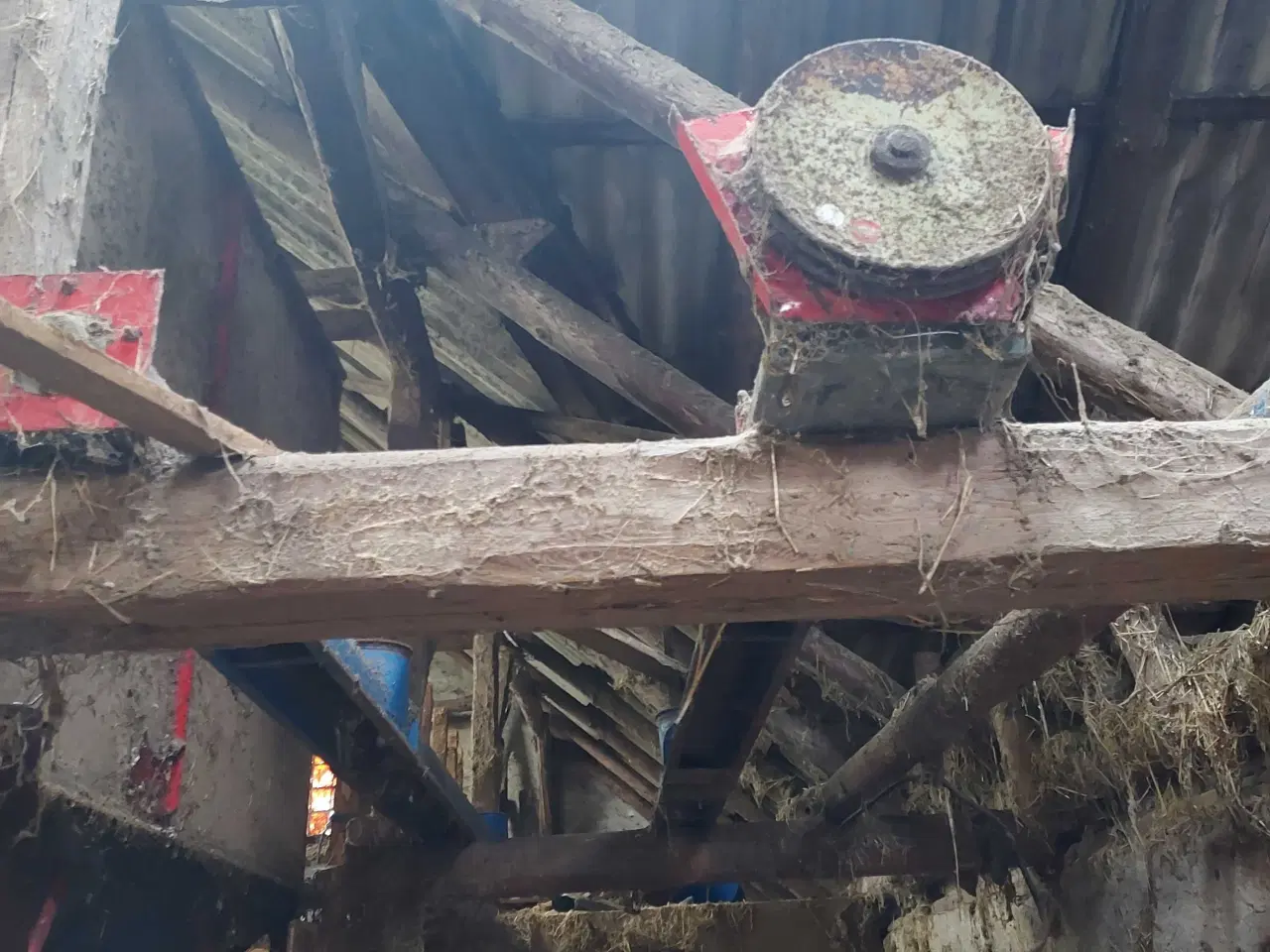 Billede 1 - Sneglerende