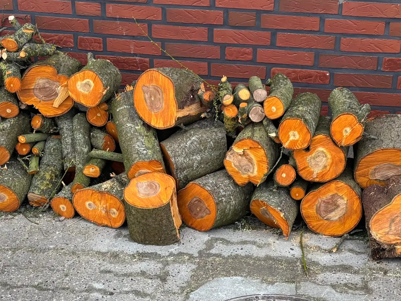 Billede 1 - Brænde klar til brug (tørt, opskåret) 