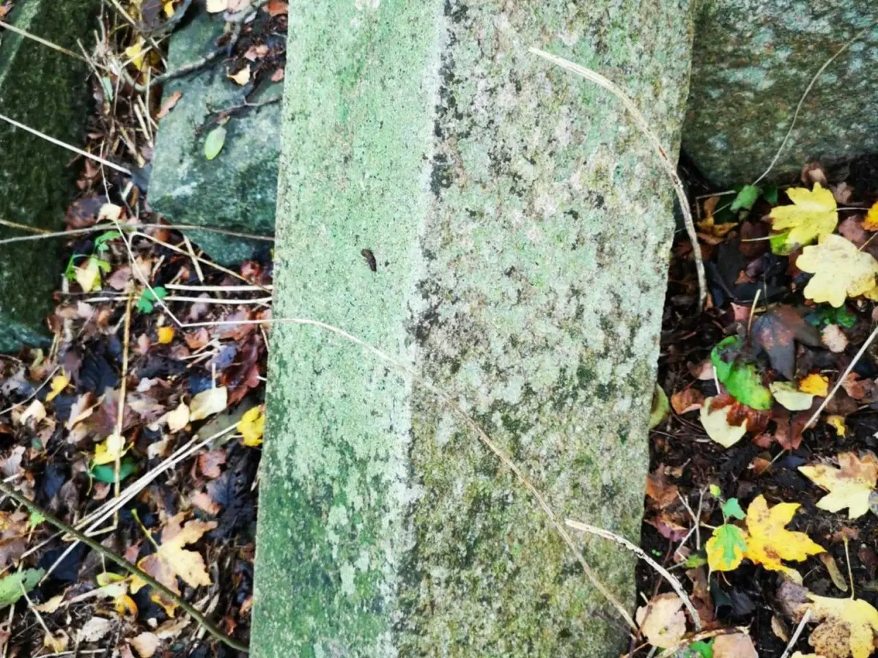 Billede 6 - Granitsten – ægte massiv granit, perfekt til have