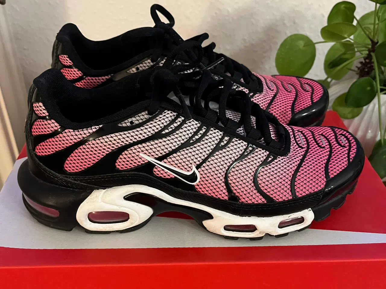 Billede 1 - Nike Air Max Plus sneakers