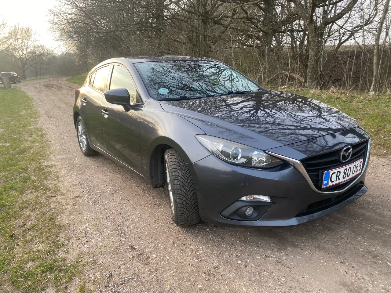 Billede 3 - 2014 Mazda 3 (ny synet)