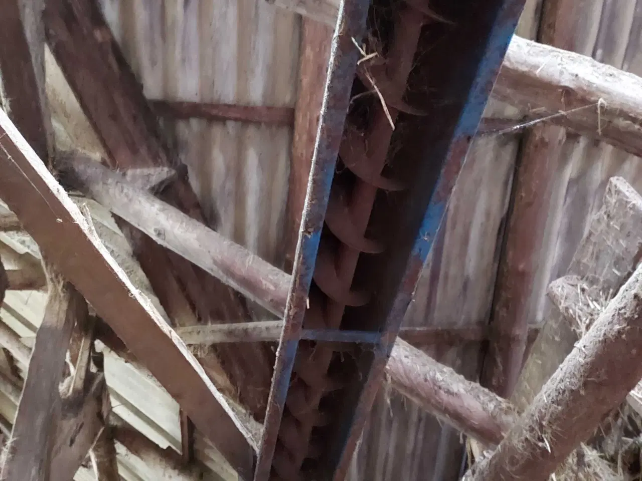 Billede 2 - Sneglerende