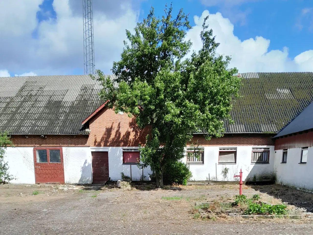 Billede 4 - Fritidslandbrug ved  Hjørring/Lørslev med 5,6  ha.