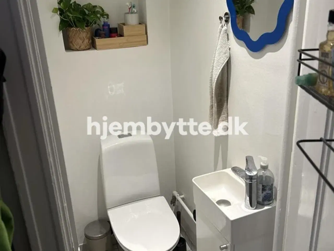 Billede 9 - Hjembytte - Lillegrund