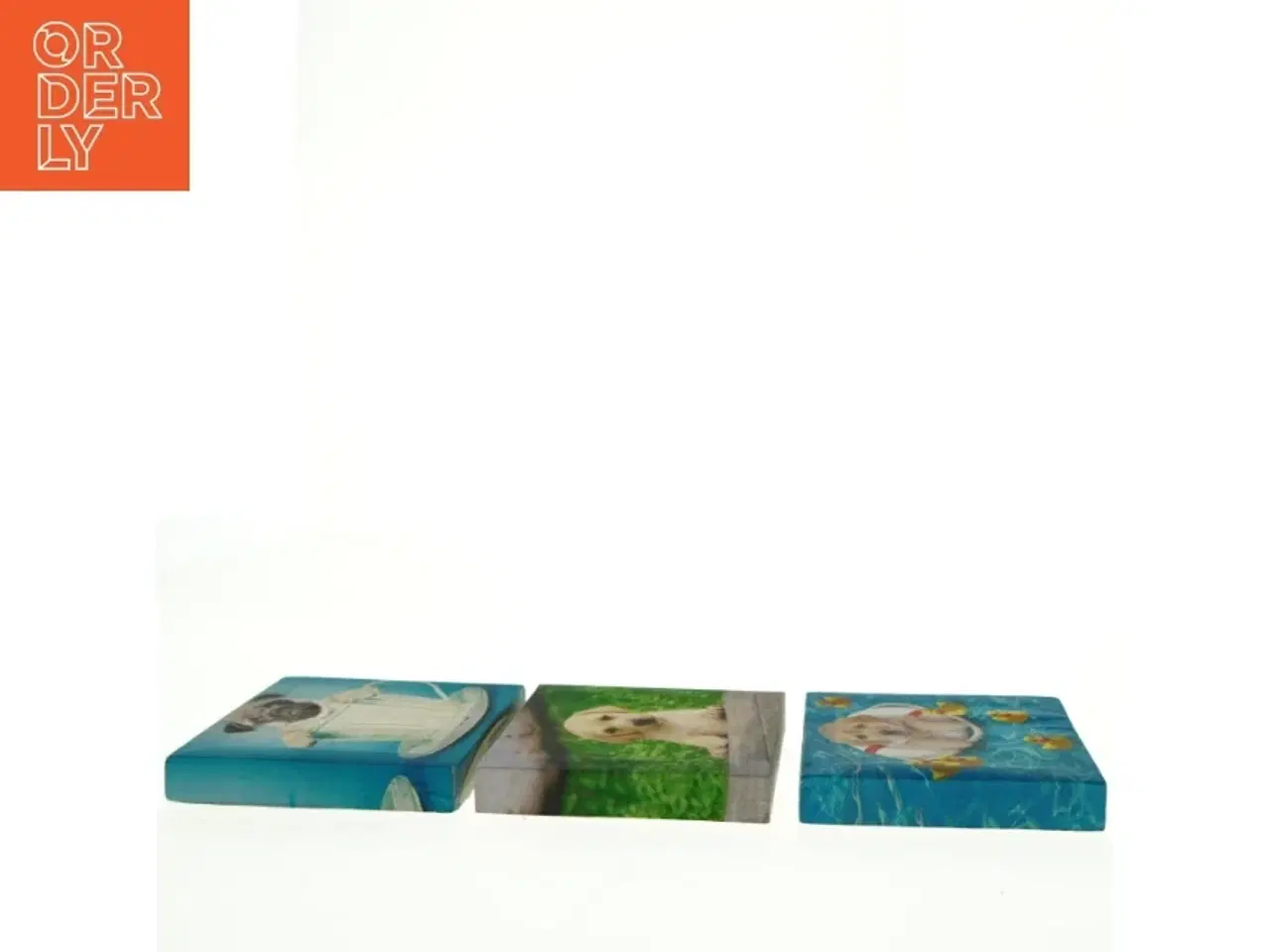 Billede 4 - Billeder med hundemotiver (str. 14 x 14 cm)