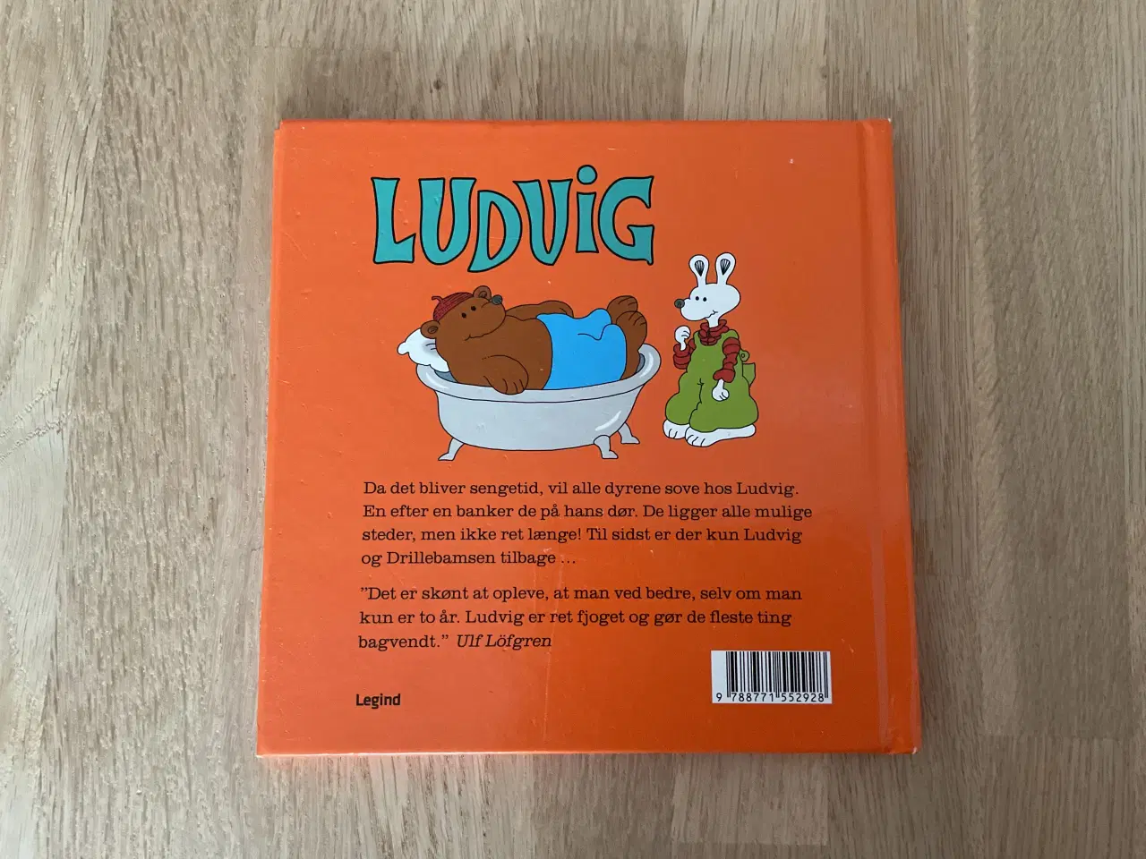Billede 3 - Ludvig får besøg