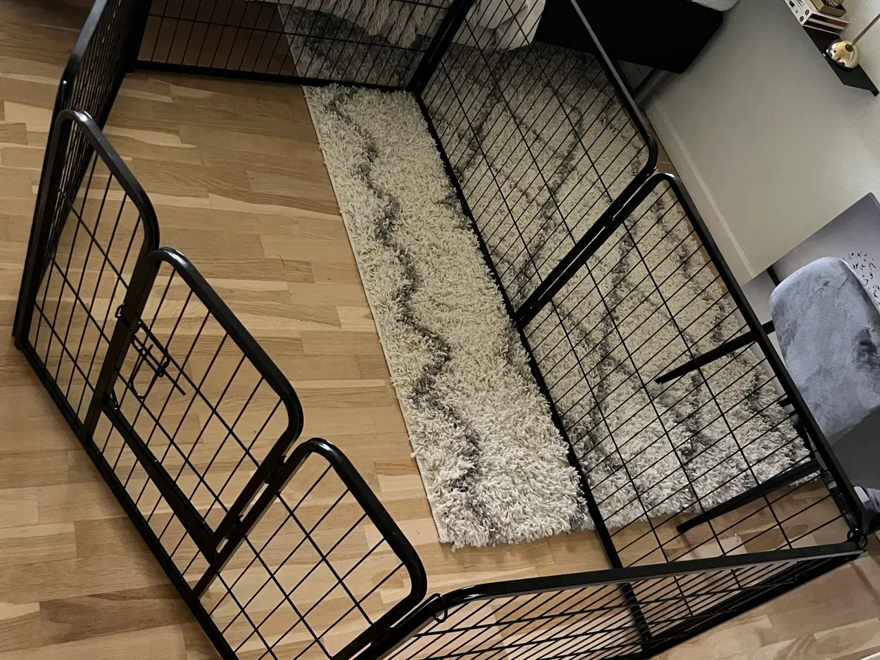 Billede 3 - Hunde/hvalpegård