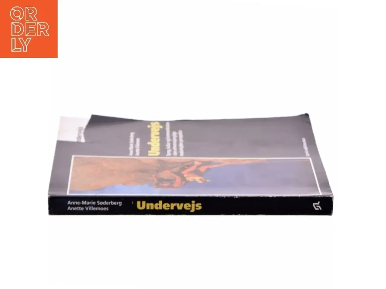 Billede 2 - Undervejs : sprog, kultur og kommunikation i den erhvervssproglige medarbejders perspektiv (Bog)