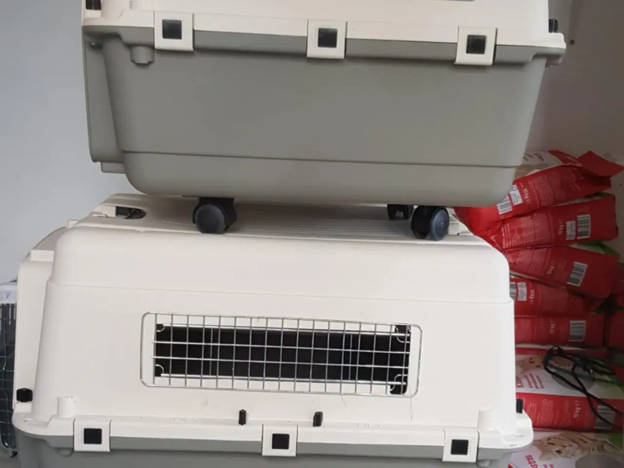 Billede 2 - Hunde/katte transporter