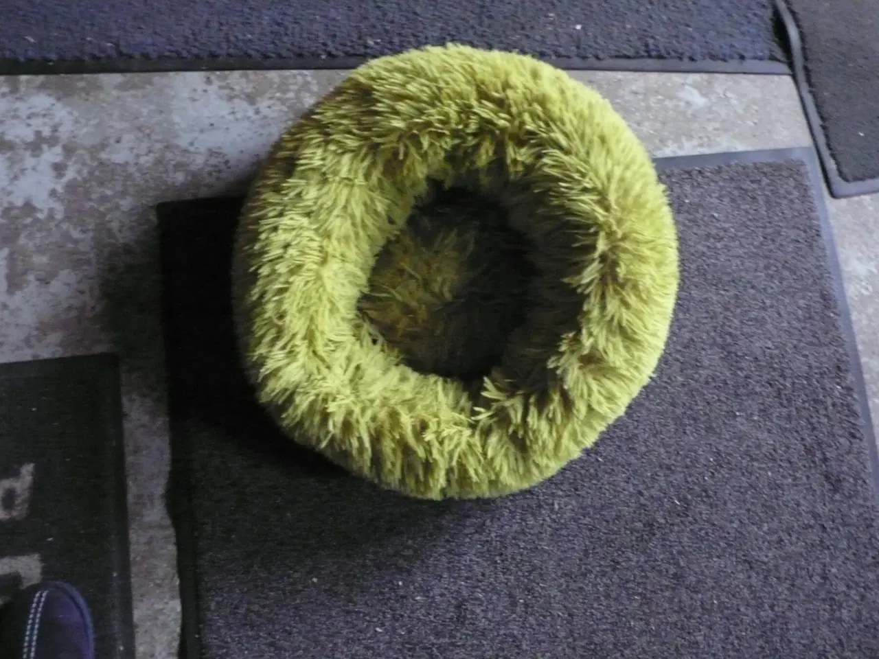 Billede 2 - hunde / katte senge brugte