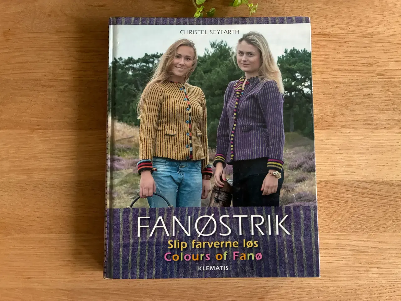 Billede 1 - Fanøstrik -Slip farverne løs af Christel Seyfarth