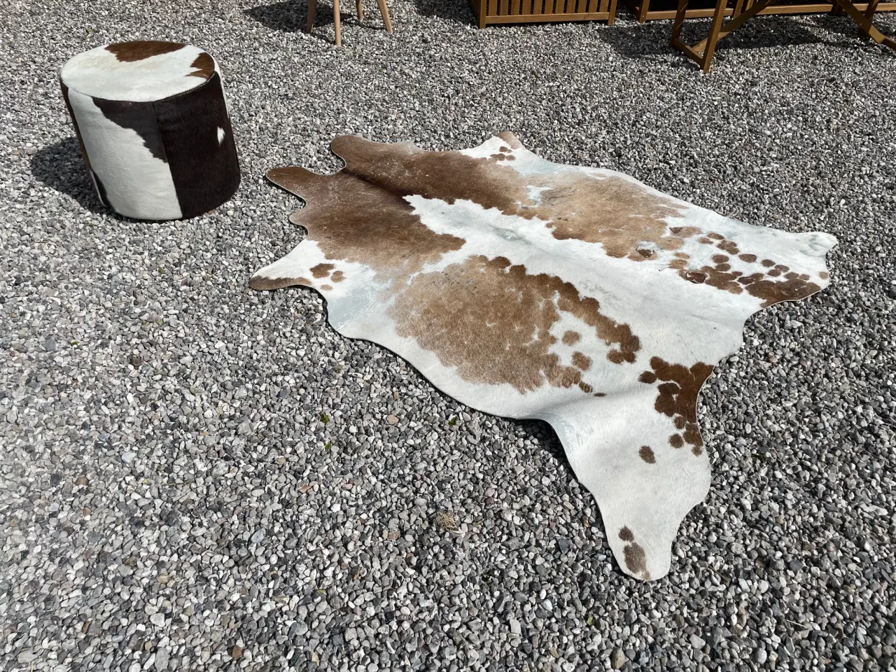 Billede 1 - Ko tæppe med tilhørende puf