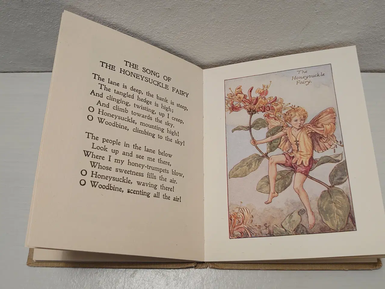 Billede 5 - Cicely Mary Barker:Flower Fairies of the Summer.