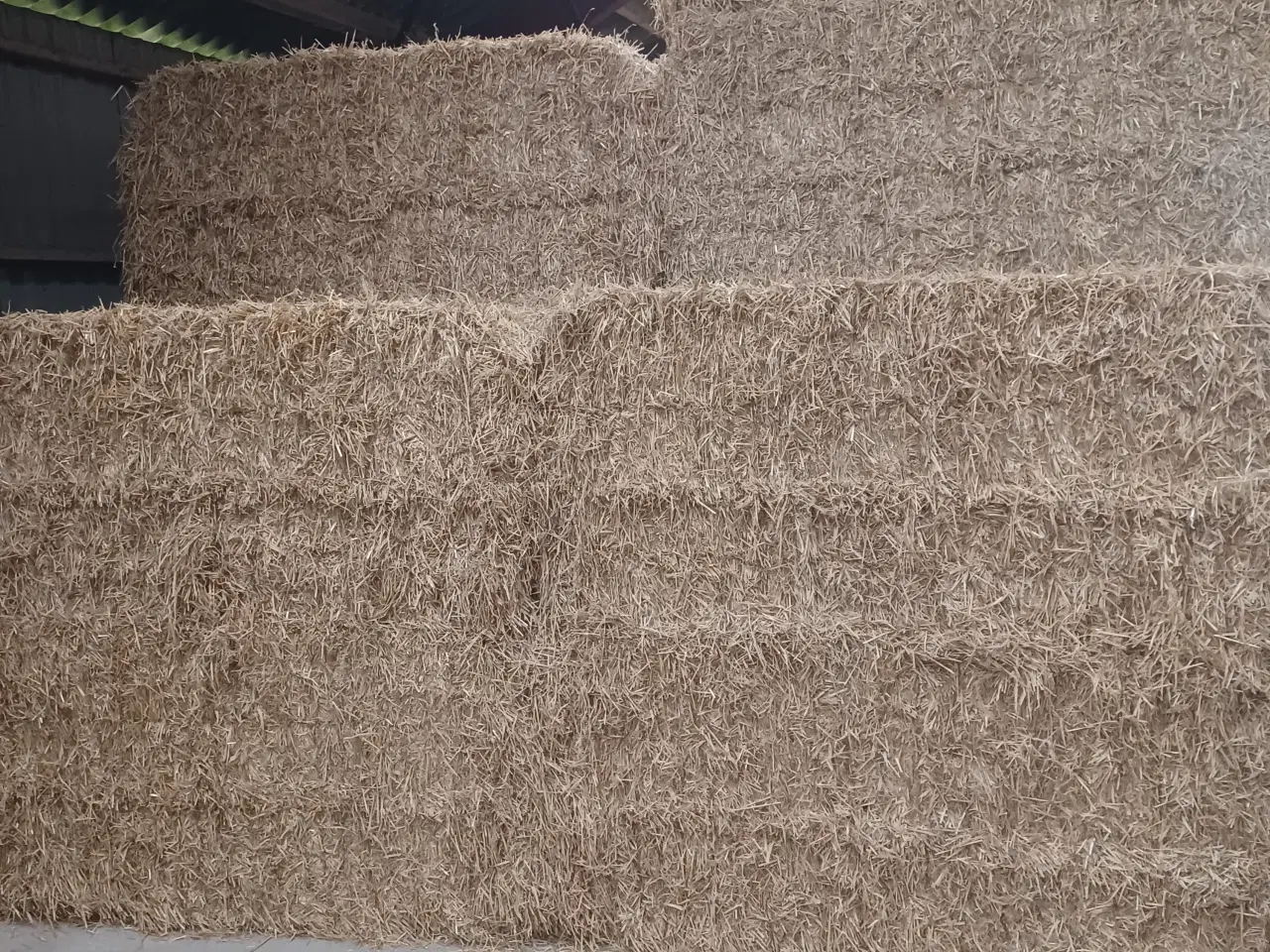 Billede 2 - Vårbyg halm minibig