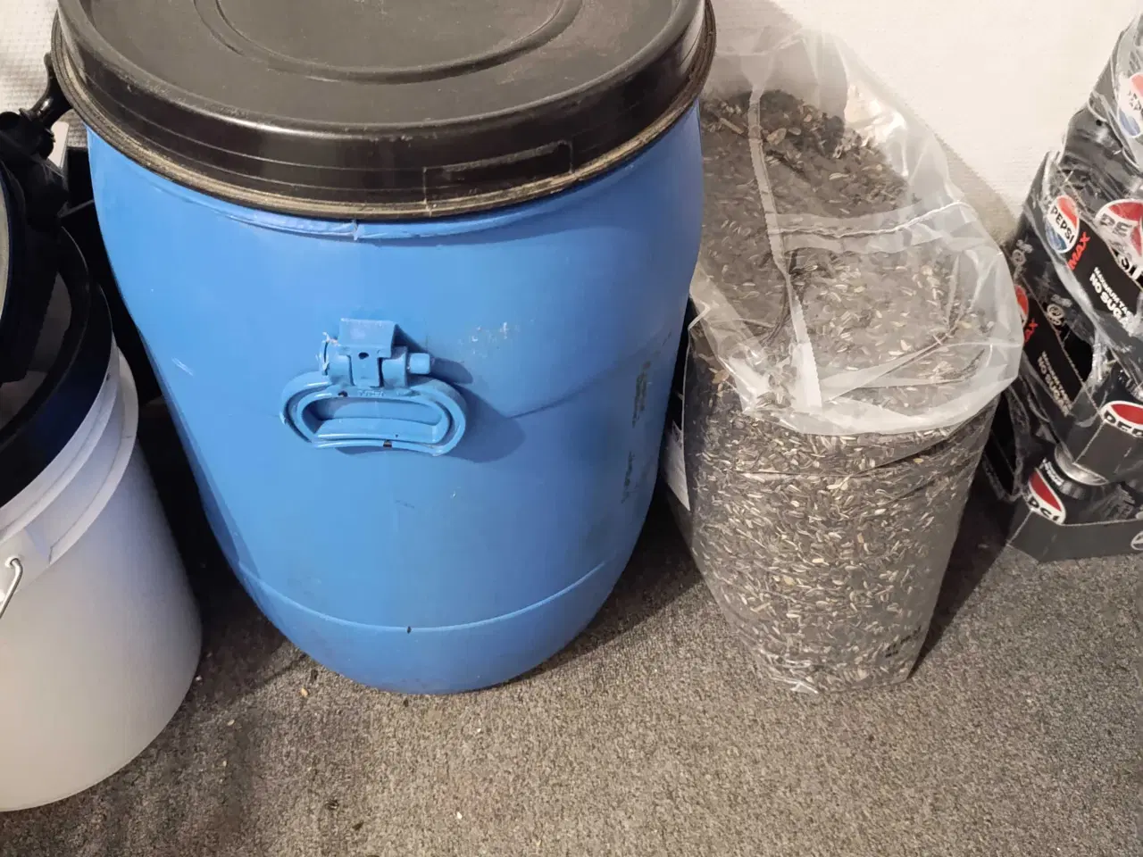 Billede 2 - Fuglefoder og solsikker