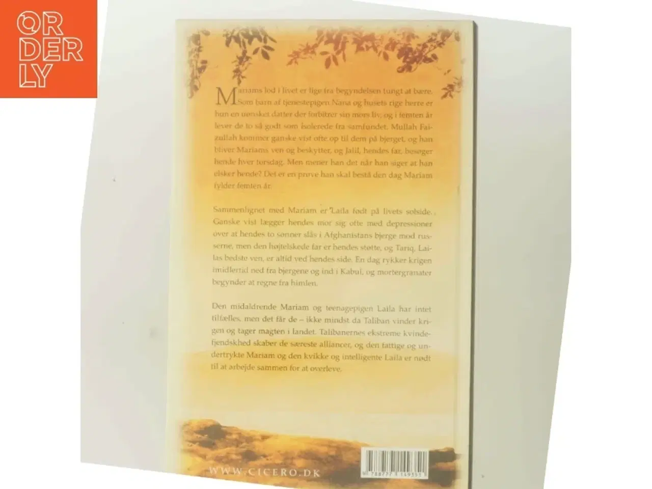 Billede 3 - Under en strålende sol af Khaled Hosseini (Bog)