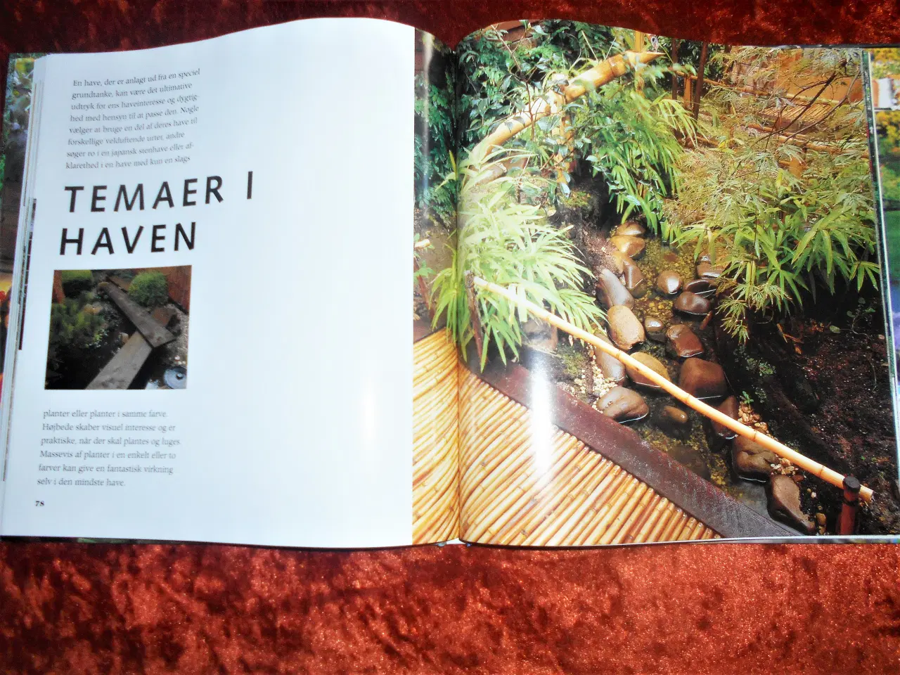 Billede 3 - Nye ideer til haven,  Elizabeth Keevill