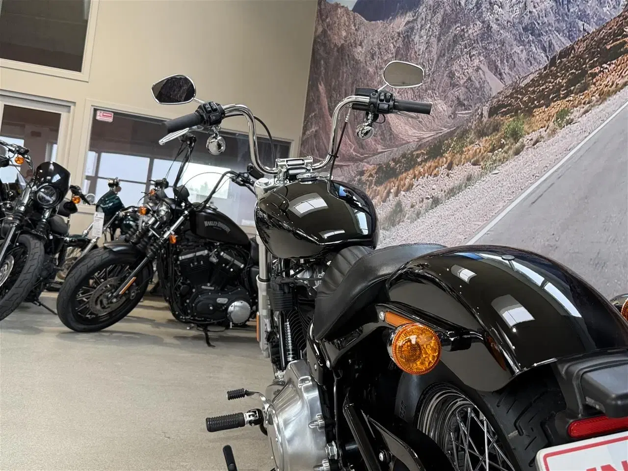 Billede 24 - Harley-Davidson FXST Softail Standard 107"