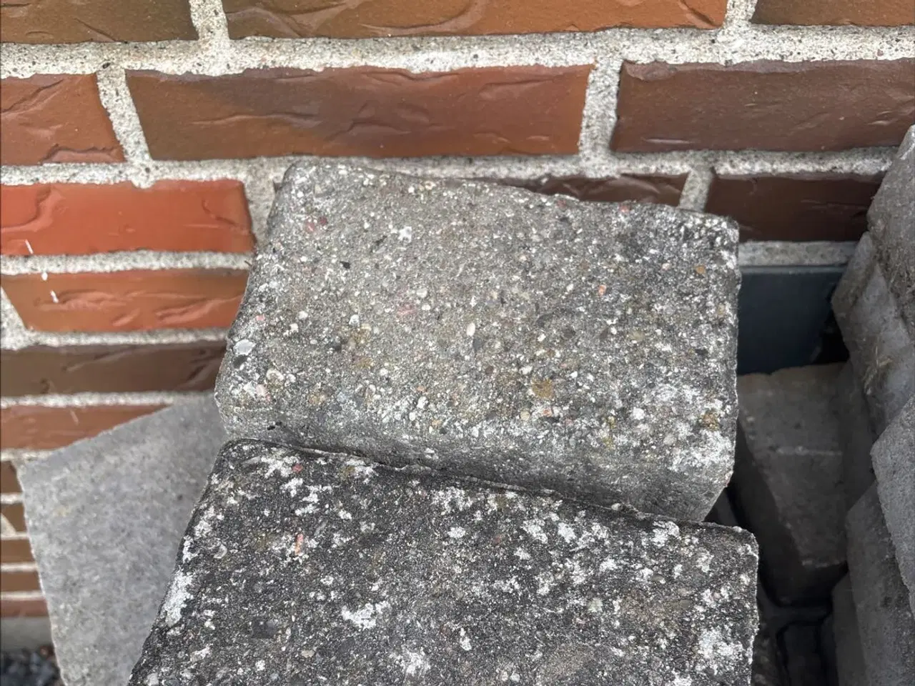 Billede 1 - Brugte betonfliser Gratis