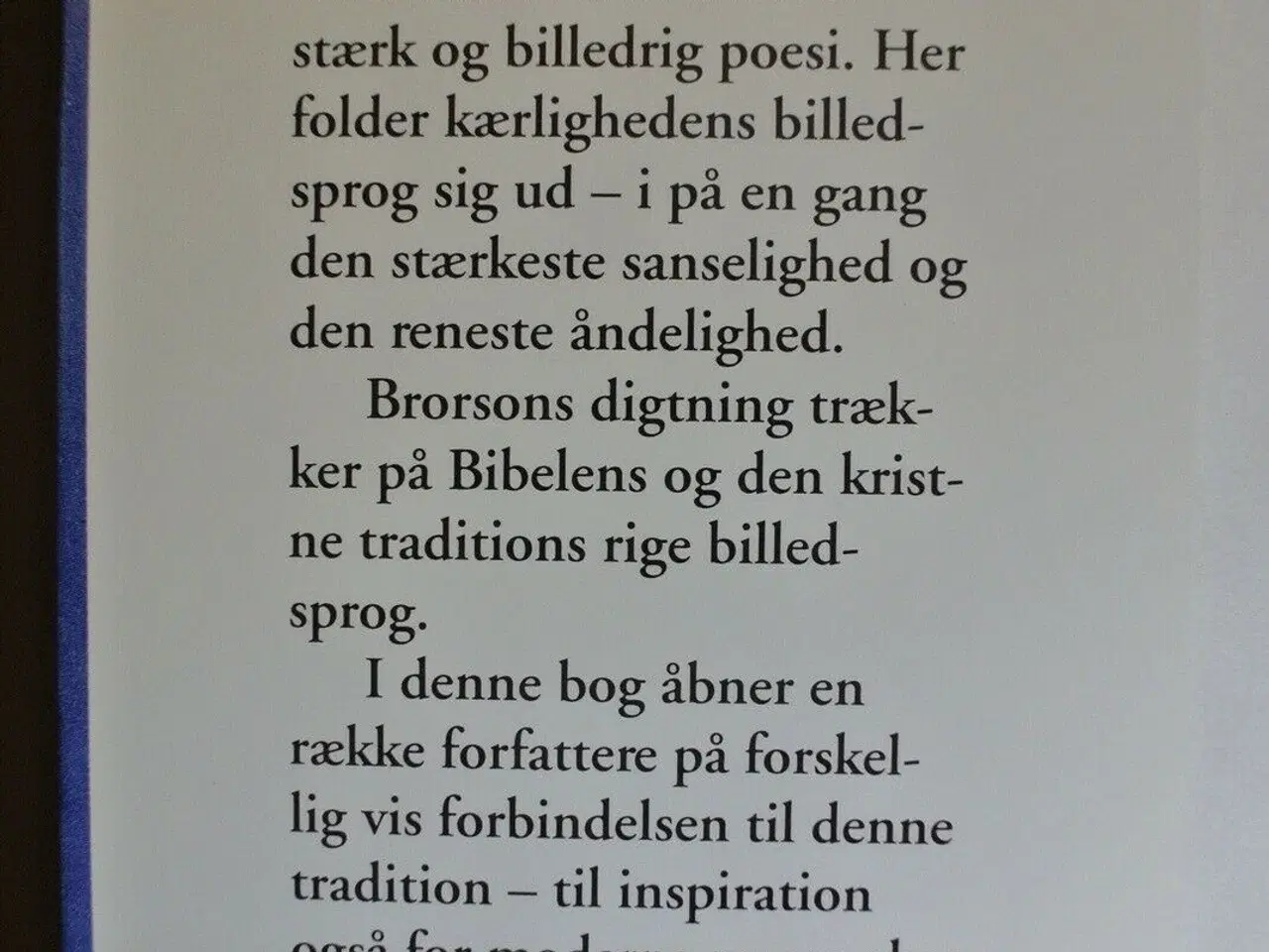 Billede 3 - brorson - en bog i 300 året, red. af jan ulrik dyr