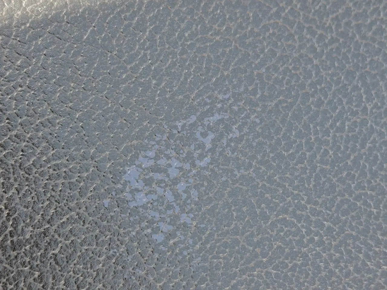 Billede 5 - 6 stk flotte "Vega" spisebordsstole 