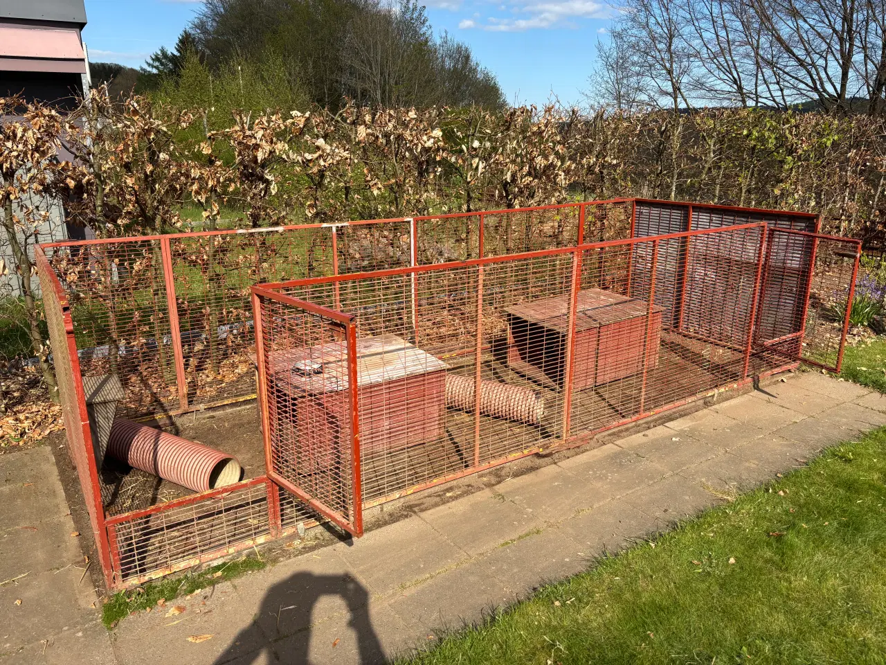 Billede 7 - Kaninbure kaninhop legetøj 