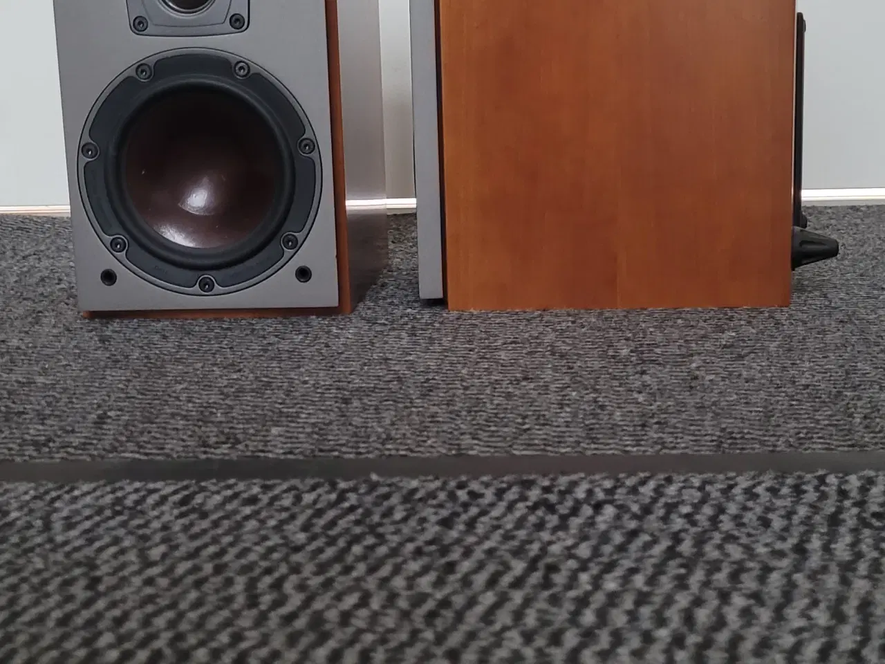 Billede 4 - Dali Mentor 1 Væg Højttaler med stor Lyd