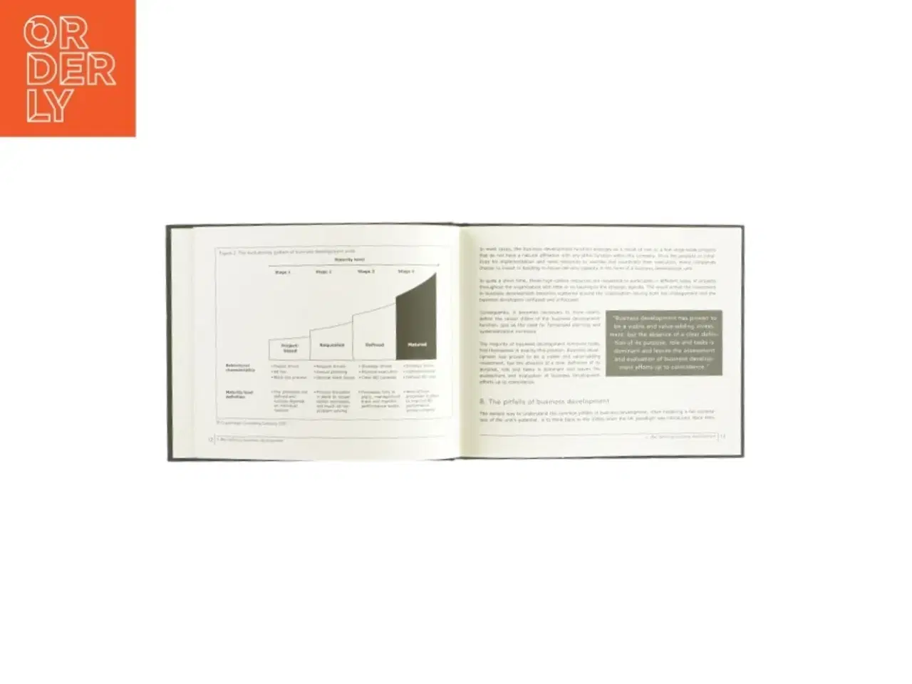 Billede 3 - Business development management (bog)