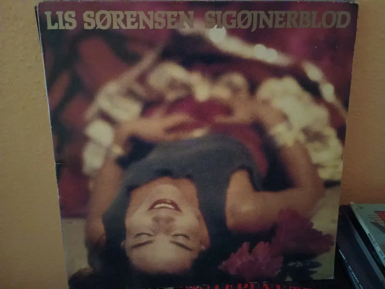 Billede 4 - Diverse danske kunstnere på LP.