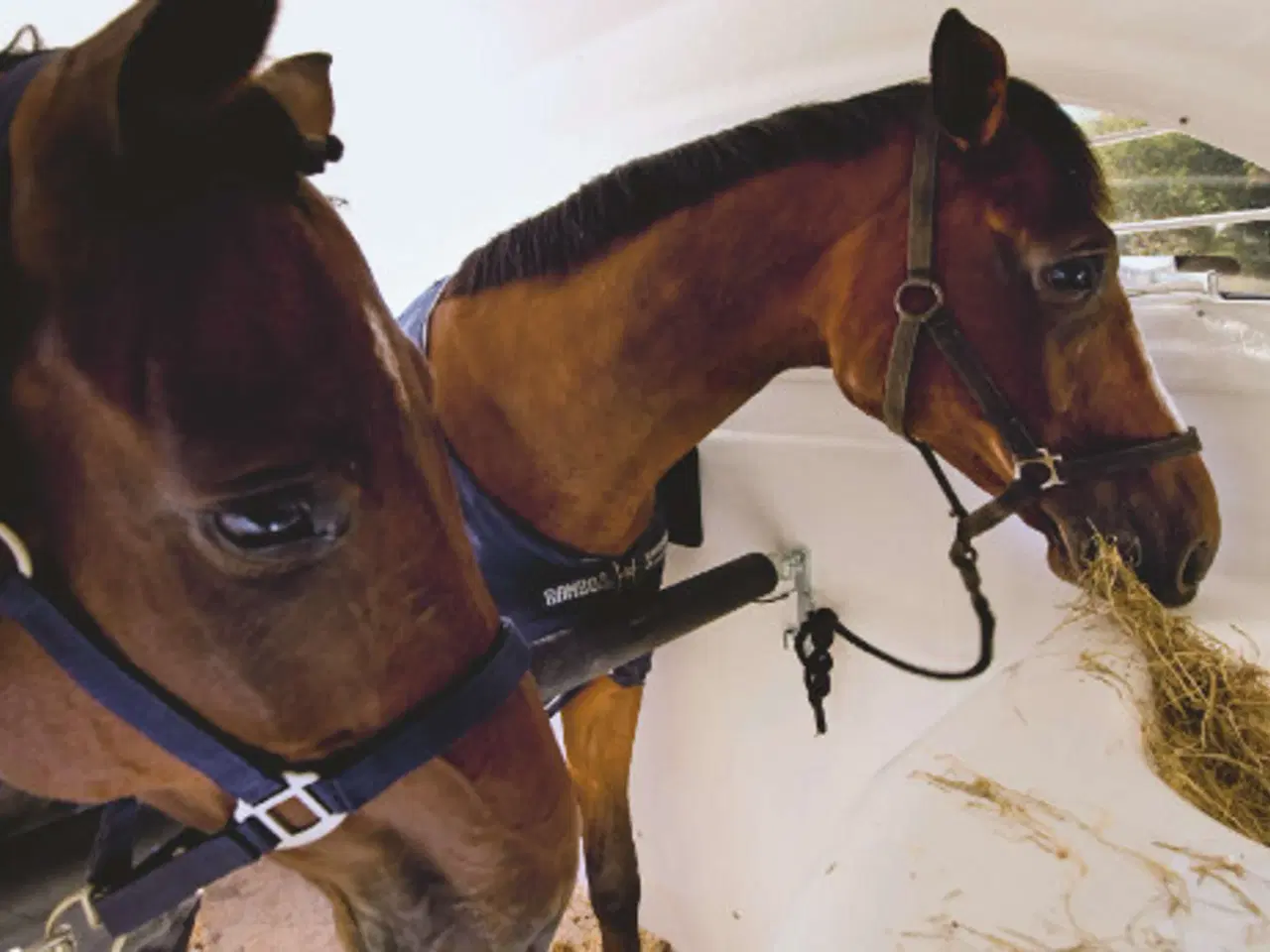 Billede 14 - Böckmann Comfort Esprit 25 med udstyrspakke