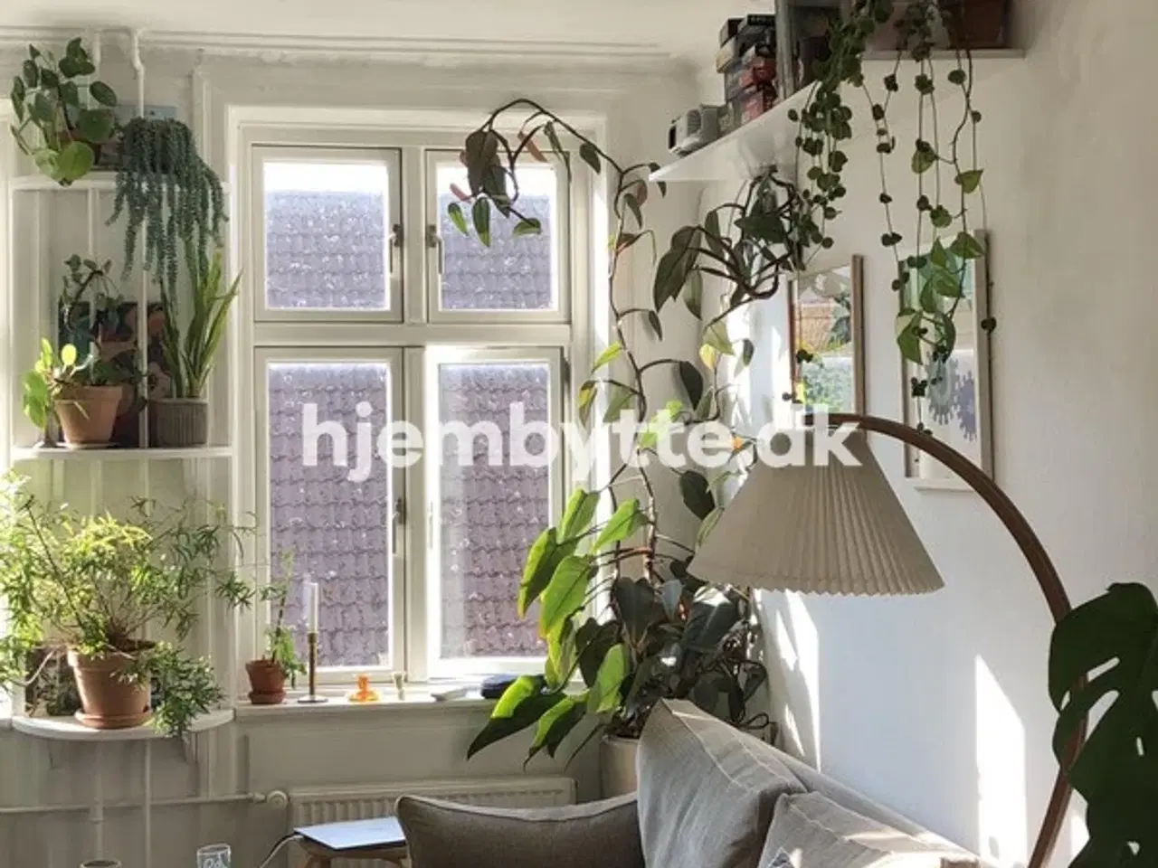 Billede 1 - Hjembytte - Slotsgade