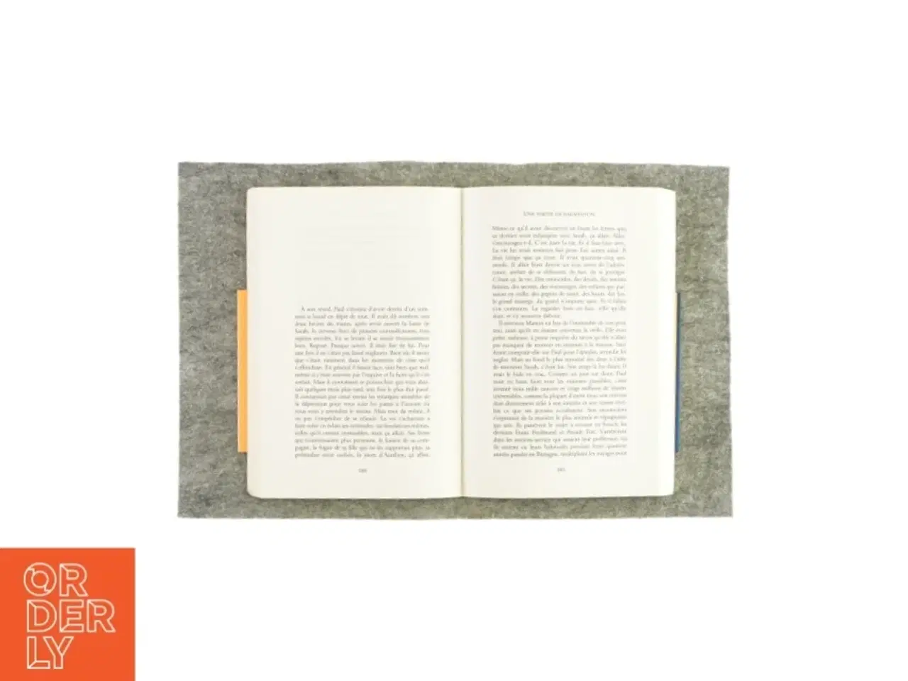 Billede 3 - Flammarion af Olivier Adam (bog)
