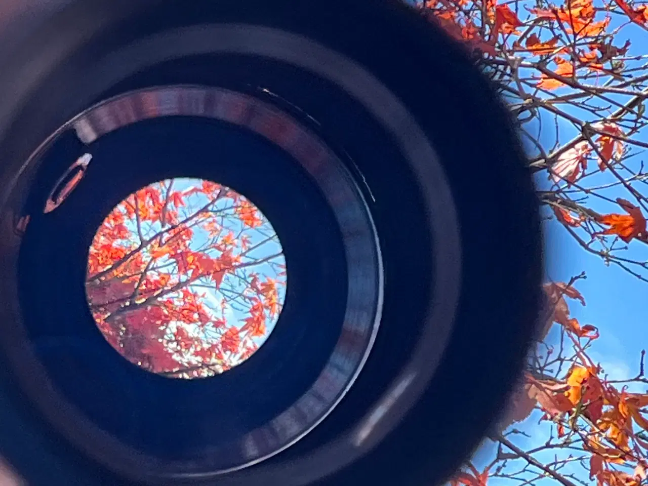 Billede 7 - Kikkertsigte. Fontaine 4x32 waterproof 