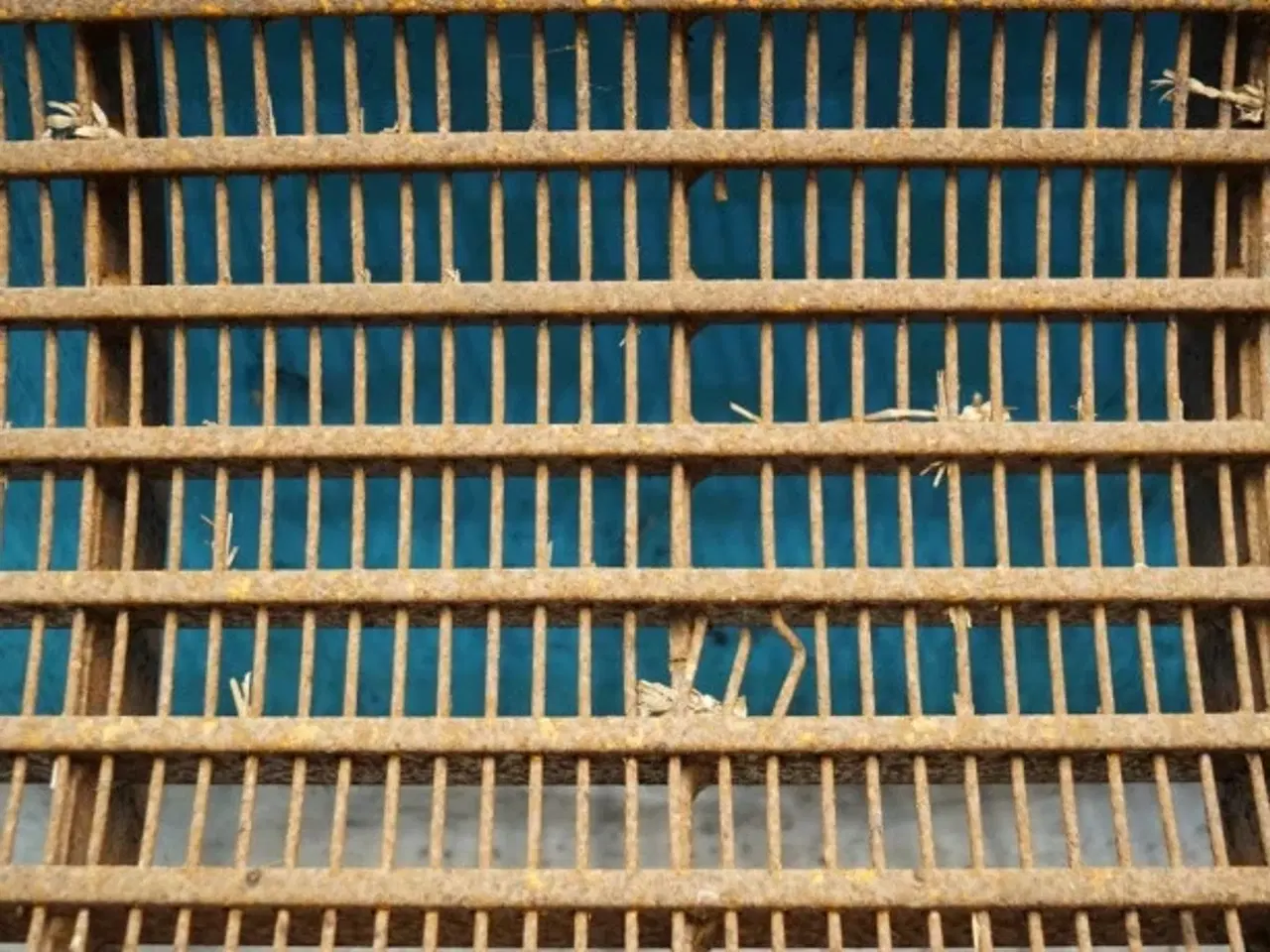 Billede 5 - Dronningborg D8900 Bro 28382090