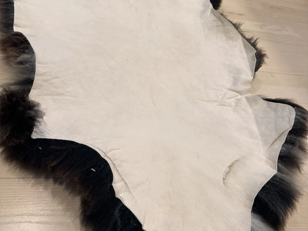 Billede 6 - Helt nyt dansk lammeskind