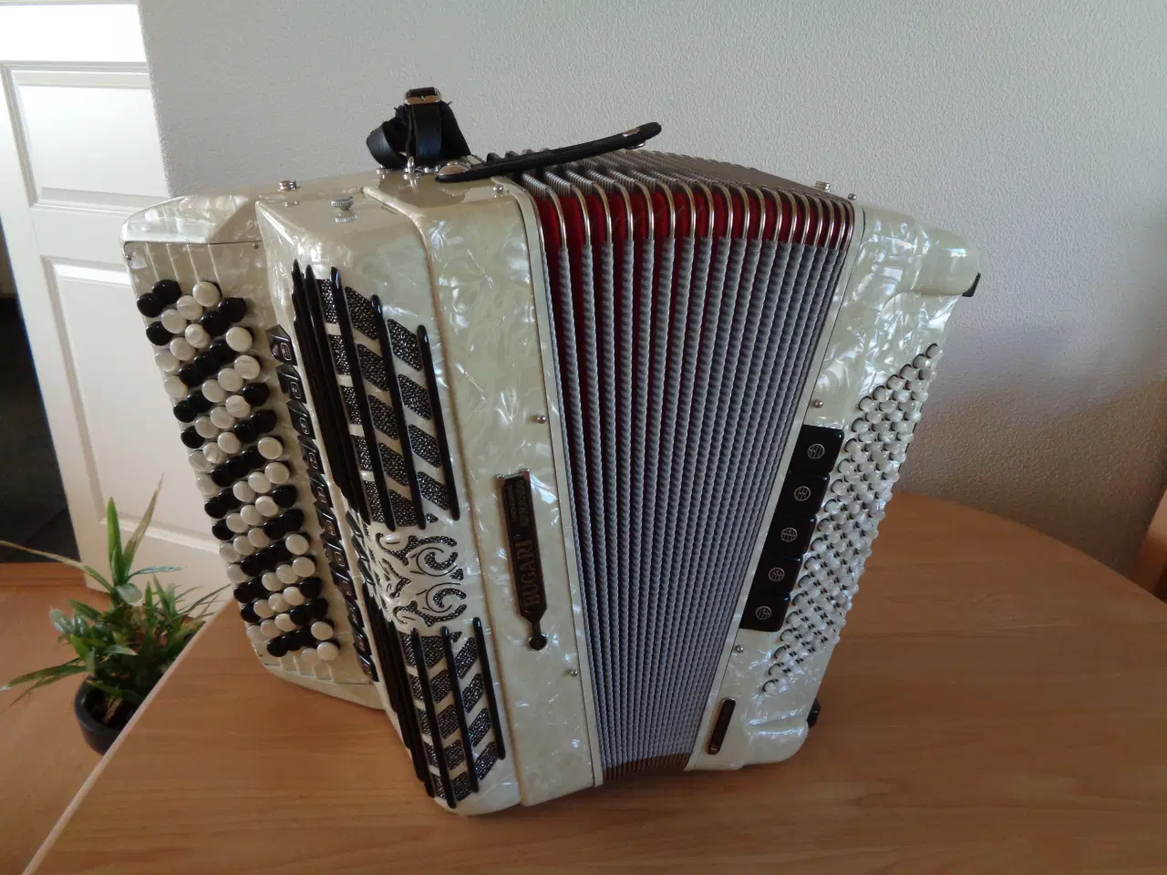 Billede 2 - Bugari knapharmonika med Midi