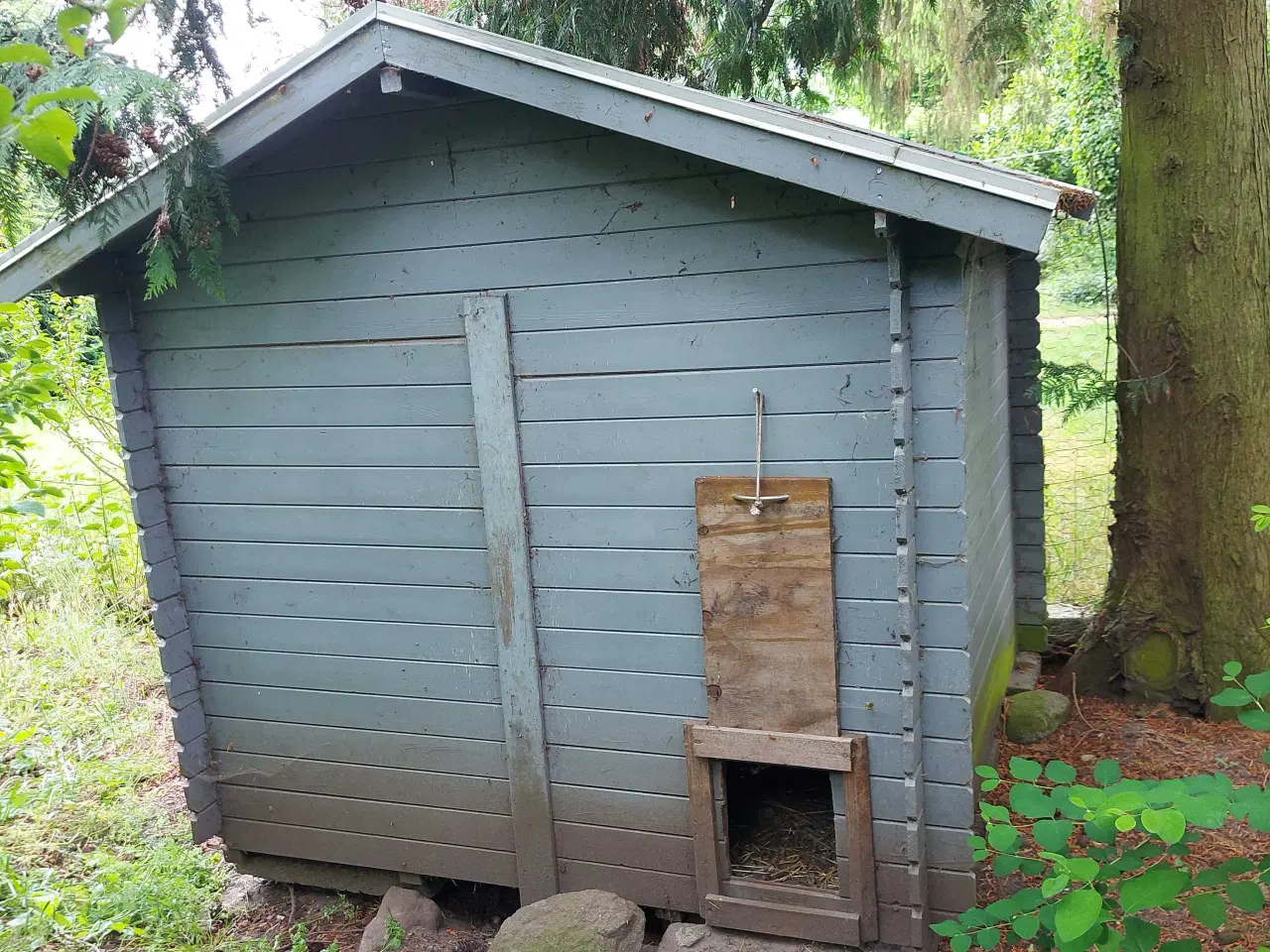 Billede 3 - Hønsehus/gl. Leghus